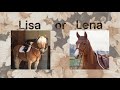 Lisa Or Lena Horses