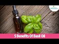 Top 5 Benefits Of Basil Oil