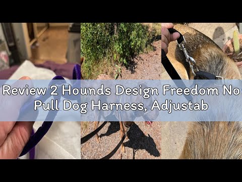 Review 2 Hounds Design Freedom No Pull Dog Harness, Adjustable Harness and Leash Set, Easy Walking &