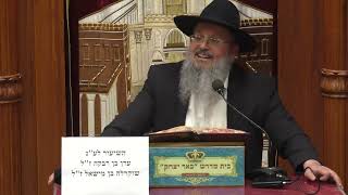 נביאים כתובים | הרב דוד לוי | ספר משלי - פרק כ' פסוק ד' - העמל הוא סוד ההצלחה - יא' אייר -תשפ"ו