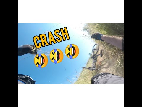 Crash🤣🤣🤣