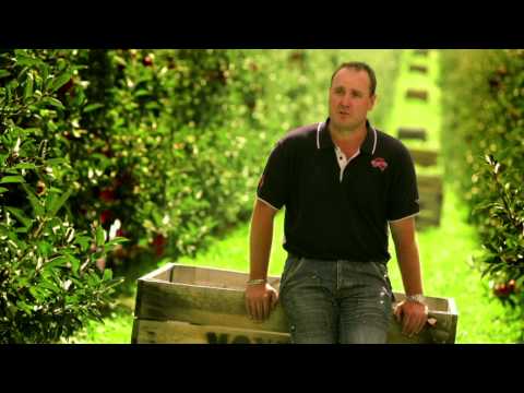 Keeping Jazz Apples in the family