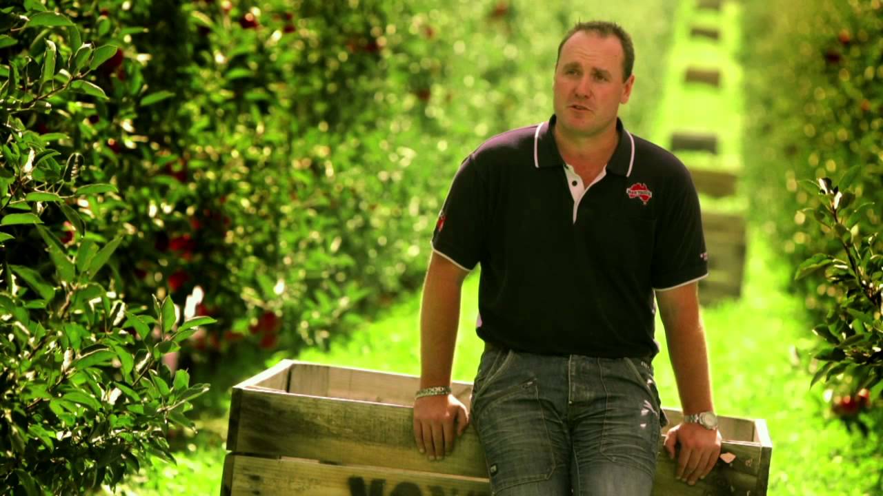 Keeping Jazz Apples in the family