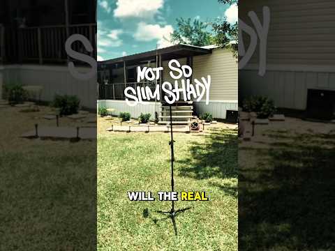 Not So Slim Shady