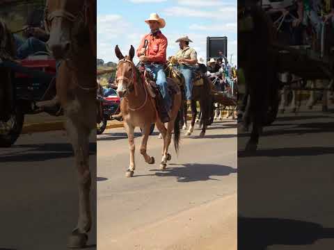 Cavalgada em Campo Limpo de Goias