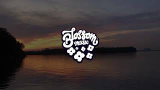 engelwood - pink lemonade