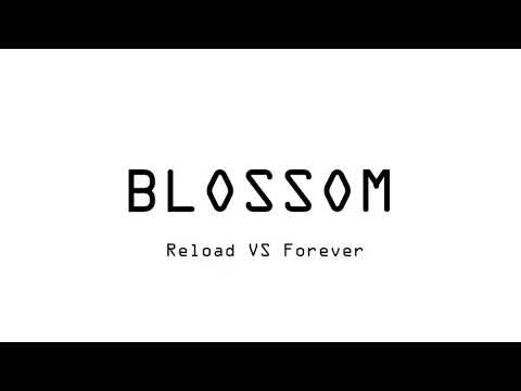 Forever VS Reload Hardwell Mashup @ UMF Japan 2017 [BLOSSOM remake]