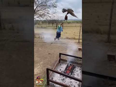 suelta mi chancho 🤣🤣 #viral #humor #comedia