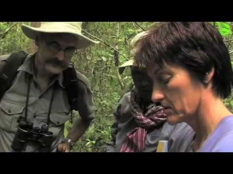 REDD in Prey Long - Khmer Language Version