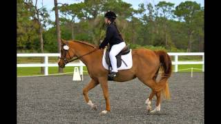 A Girl and Her Horse