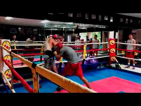 CASTILLO VS CASCO 0310201