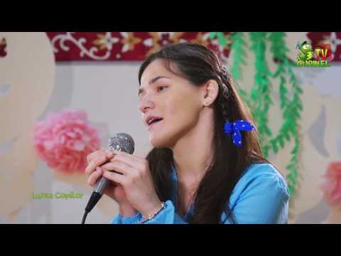 Lumea Copiilor Ed. 11 (Sezonul 3)