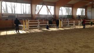 Video koně Easy-going