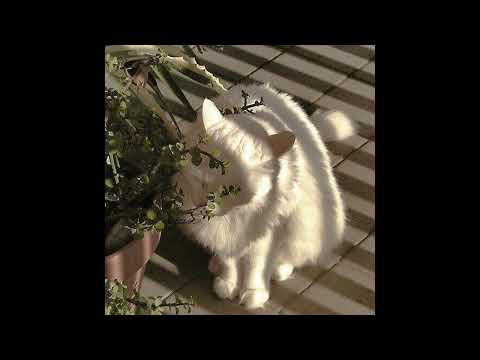 (free) guitar hyperpop x glitchcore type beat - "diving"