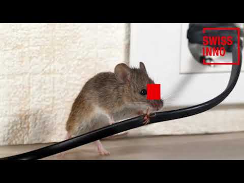 Ultrasonic Rodent Repeller SWISSINNO