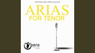 Lucia di Lammermoor: Tombe degli avi miei... Tu che a Dio (Karaoke Version)