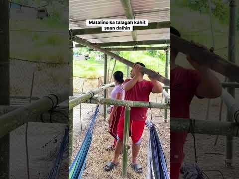 tibay #forentertainmentpurposesonly  #funny #comedy  #goodvibes