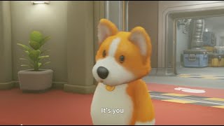 ふにんがす party animals（普通の） ガッkoya視点