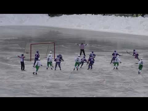 Botnia - Veiterä 13.01.2019 maalikooste