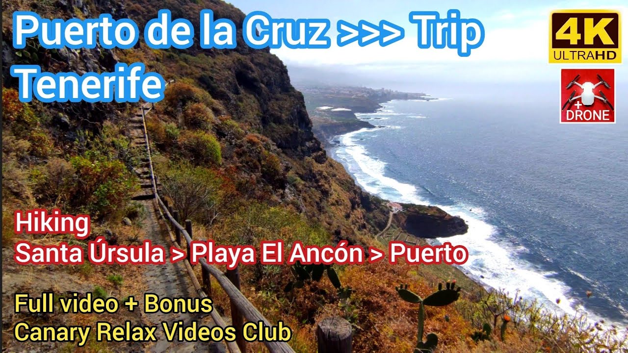 TENERIFFA 🏝️ Puerto de la Cruz - Santa Úrsula 12 June 2022 Kanarische Inseln Tenerife Canary Islands
