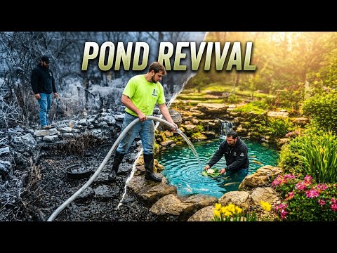 From ICE to PARADISE | Full Pond Renovation