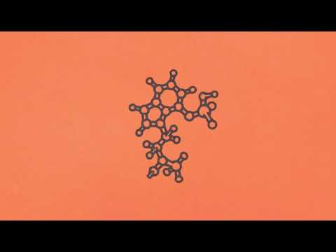 USERx - USERx [Official Audio]