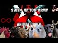 seven nation animals