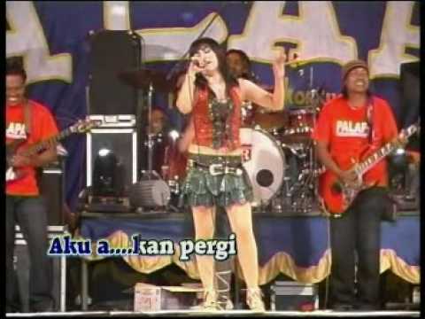 dangdut palapa-bukankah kau tau