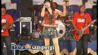 Download lagu dangdut palapa-bukankah kau tau mp3 Download lagu dangdut palapa-bukankah kau tau mp3