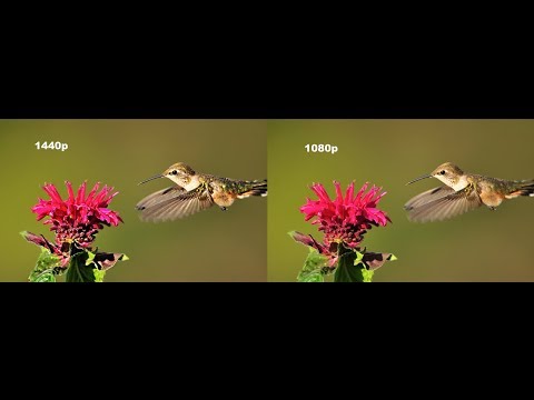 Выбираем видеокамеры CAICO TECH AHD 4Mp для видеонаблюдения