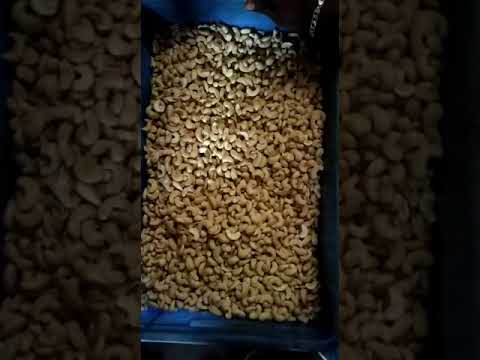 Nuts Color Sorting Machines