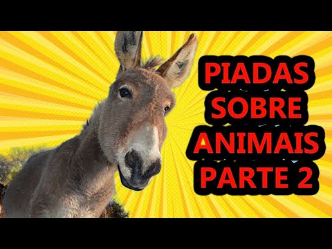 Jokes about animals Part 2 - Comedian Thiago Dias