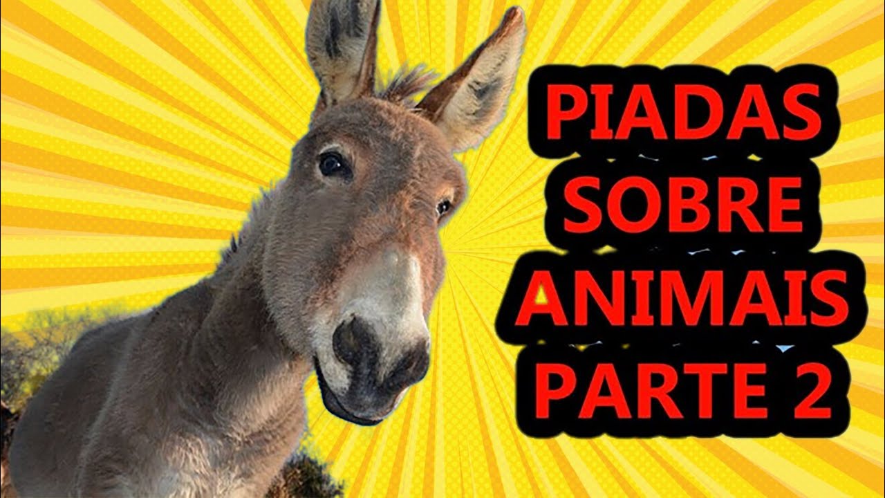 Jokes about animals Part 2 - Comedian Thiago Dias