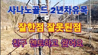 친구 시나노골드 2년차 잘못된점 잘한점 멘토하고 왔어요