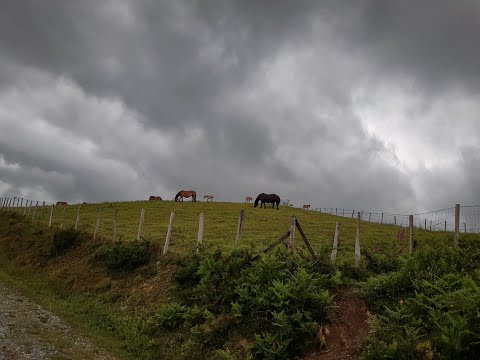 04 - Camino del Norte, 27 maggio 2022 da Albergue Izarbide.