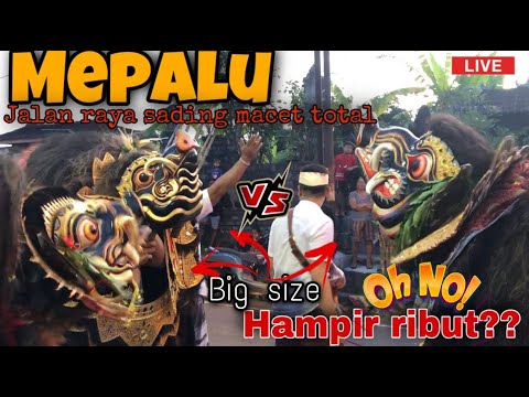 JEG MEPALU !!,, HAMPIR RIBUT !!,, 3 SEKA NGELAWANG SAMPAI LARUT MALAM DI SADING