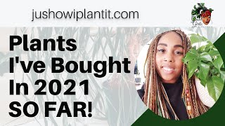 Plants I've Bought In 2021 So Far Houseplant Tour- Way Too Many Houseplants!