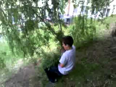 Co robi typowy Paweł : Tarzan