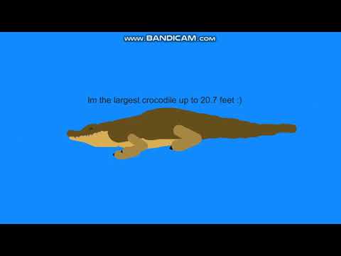 Sarcosuchus vs Saltwater Crocodile | Animation (no thumbnail)
