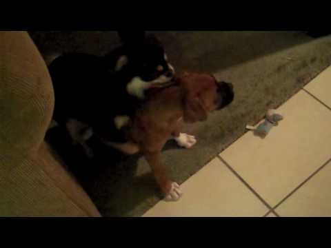 Hey Homophobic Bigots!!! Especially you Bible Thumpers! Koran Thumpers Too!