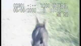 Chupacabra Caught on Tape - 08/12/08