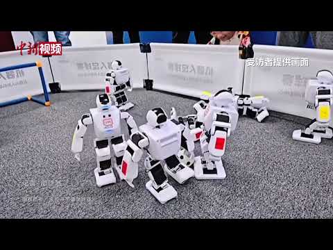 Humanoid robots debut in educational tourism! A new addition to the cultural and tourism integrat...