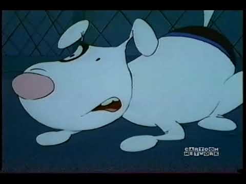 Oh que vida de perros. Perros y perrotes