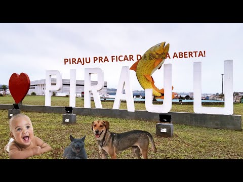 Descubra tudo o que Piraju tem a oferecer aos seus visitantes e se apaixone por esse lugar incrível!