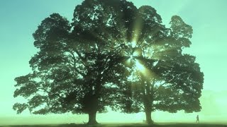 Stone Sour - Zzyxz Rd. [OFFICIAL VIDEO]