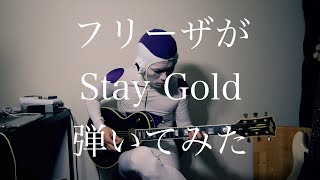 【ハイスタ】フリーザが「Stay Gold」弾いてみた【Hi-STANDARD】