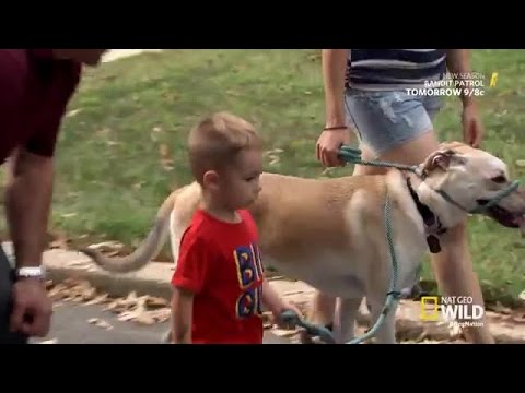 Cesar Millans Dog Nation | Season 1 Episode 8 | Call of Duty