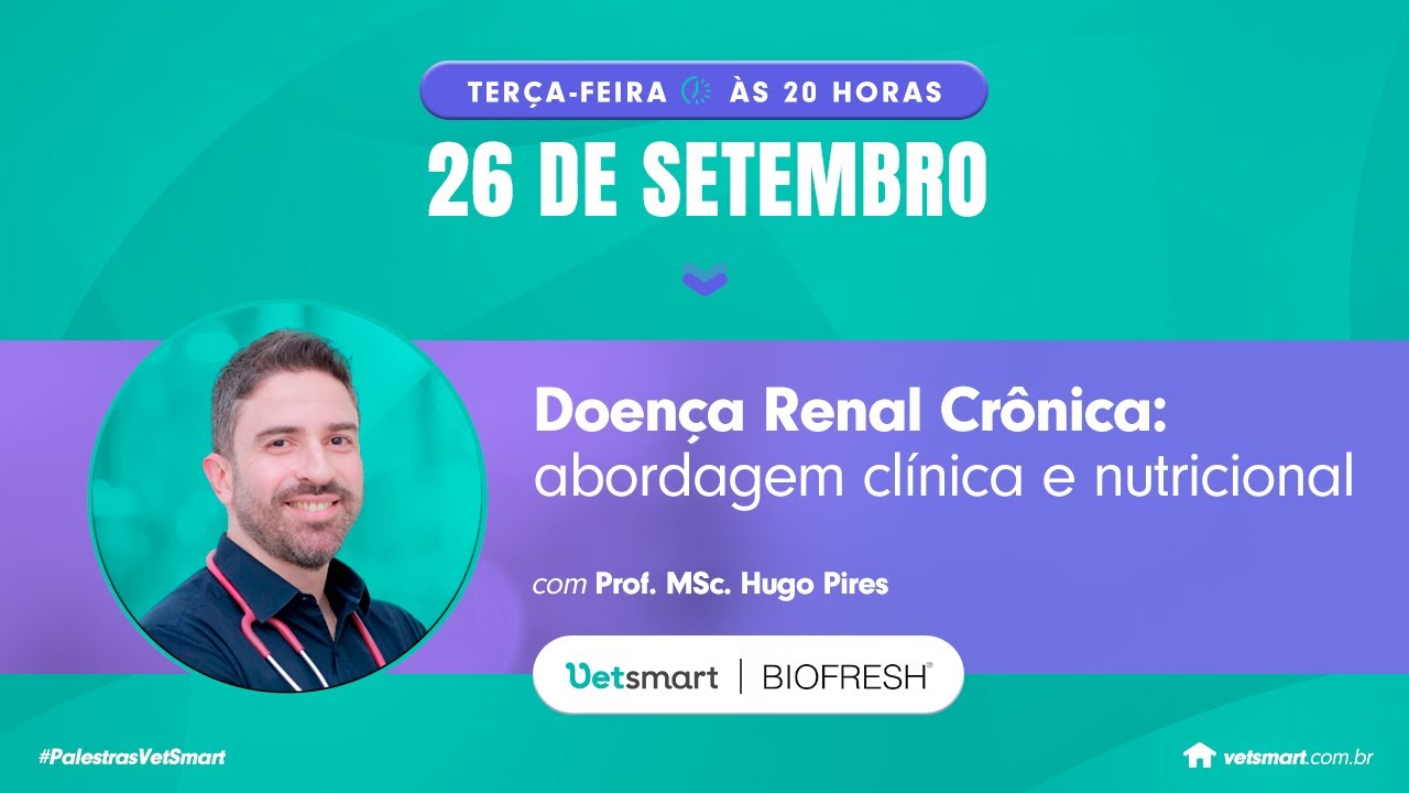 Doença Renal Crônica em felinos