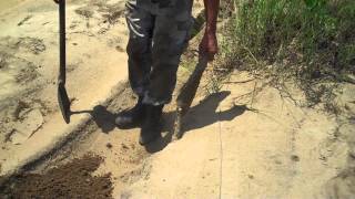 Adventurebug Gabon still stuck