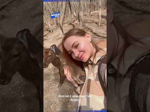 Олениха удивила девушку, которая ещё не знала о беременности